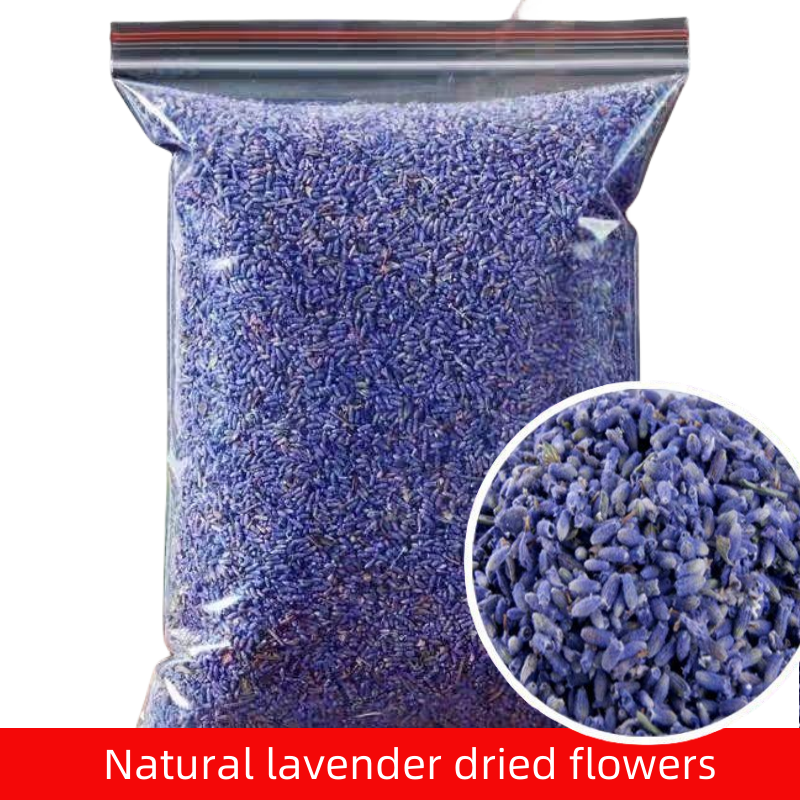 Dried Flower Bulk - High Quality Natural Dried Flowers Indoor