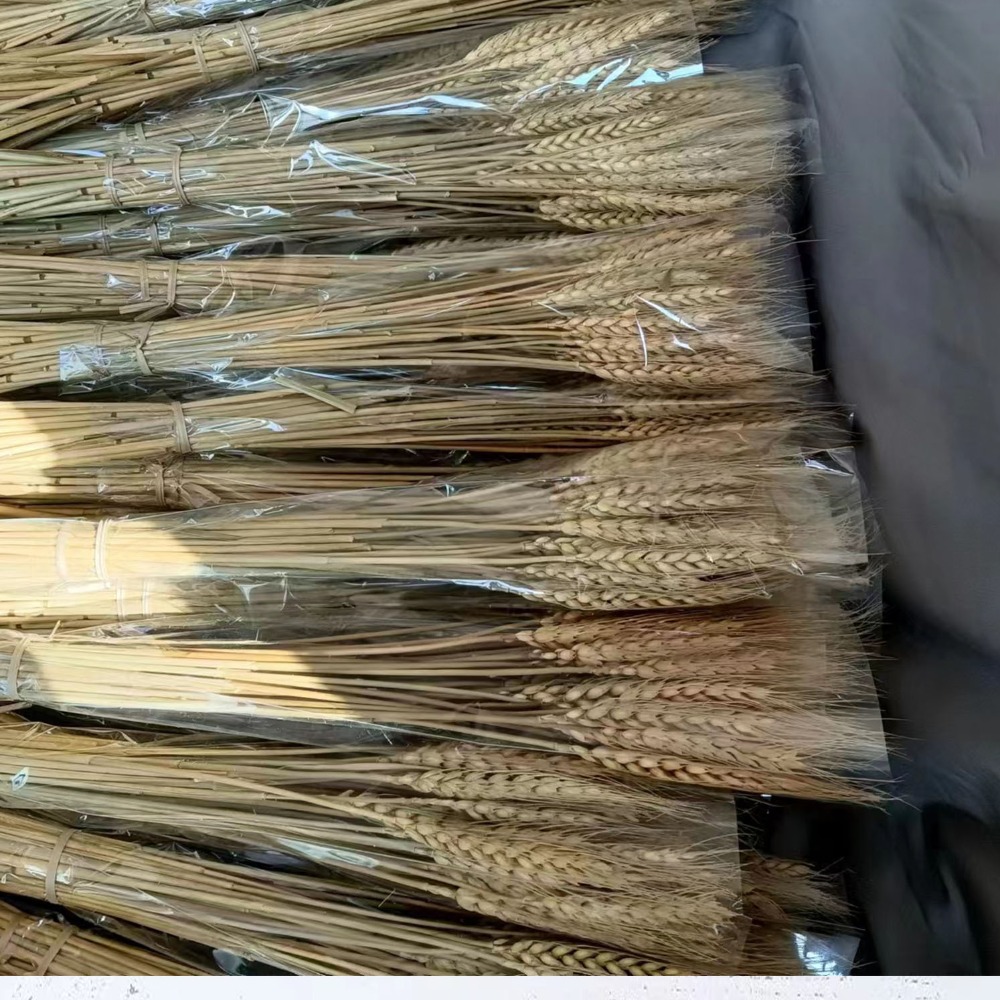 50pcs Artificial Flower Natura - Dried Flower Bulk recensione e prezzo