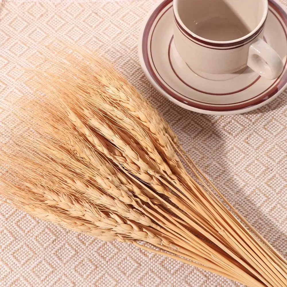 50pcs Artificial Flower Natura - Dried Flower Bulk recensione e prezzo