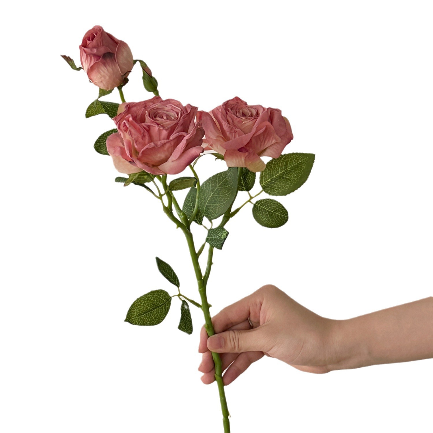 Artificial Flower Retro Decora - Dried Flower Bulk recensione e prezzo