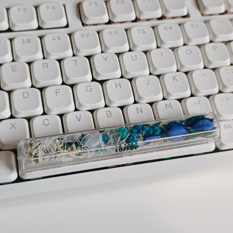 Spacebar Keycap Custom Preserv - Flower Preservation Resin recensione e prezzo