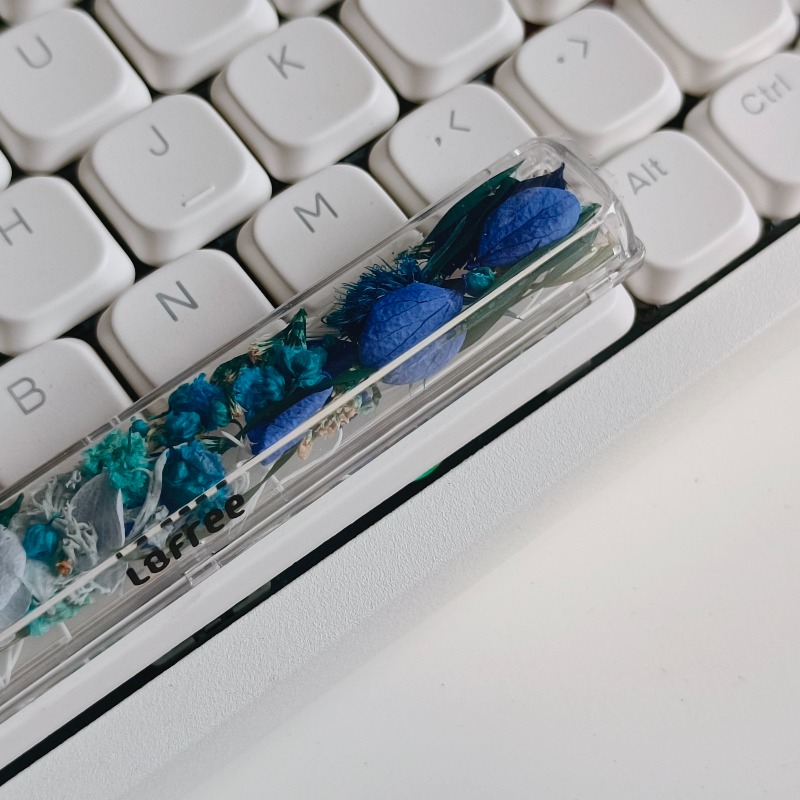 Spacebar Keycap Custom Preserv - Flower Preservation Resin recensione e prezzo
