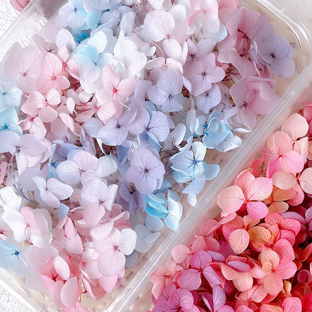 1Box Real Dried Flower Nail De - Dried Flower Bulk recensione e prezzo