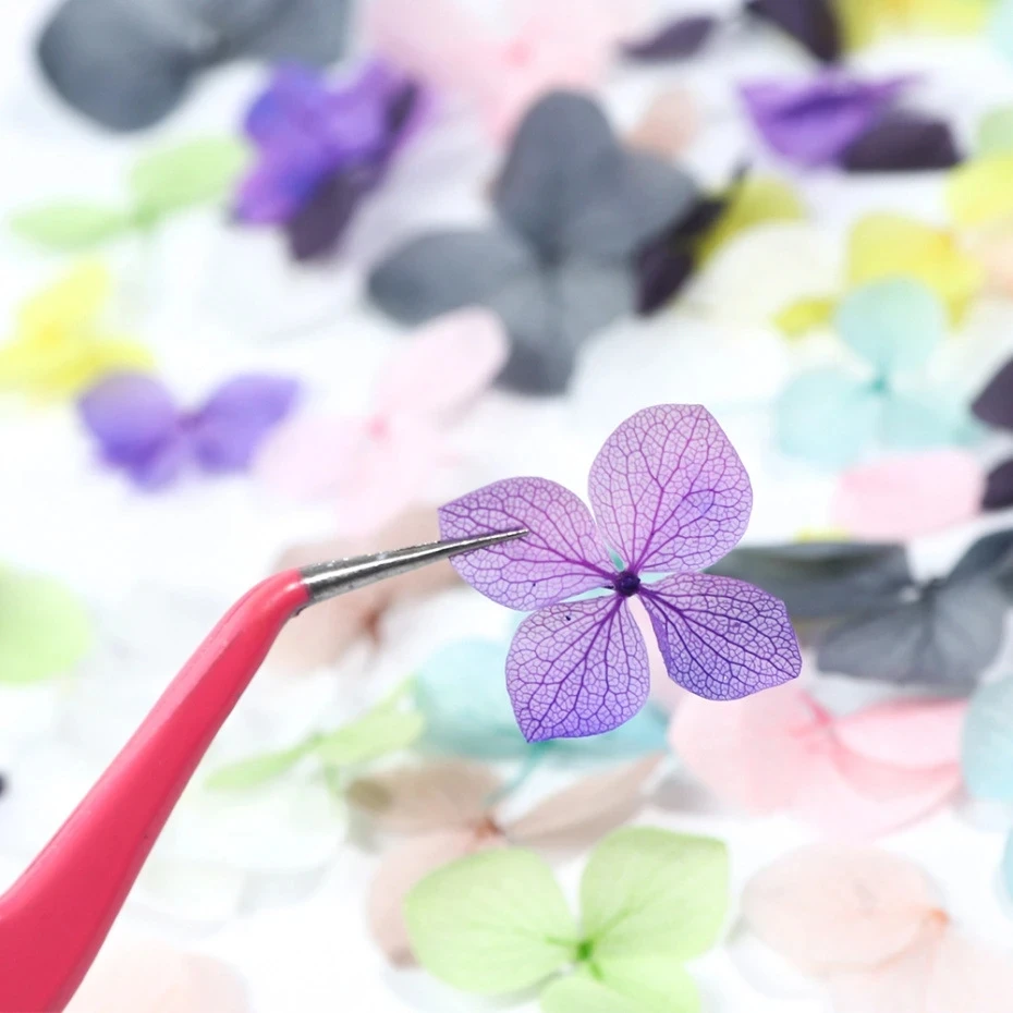 1Box Real Dried Flower Nail De - Dried Flower Bulk recensione e prezzo