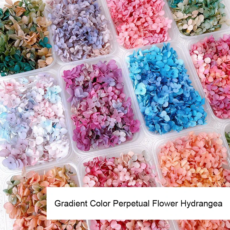 1Box Real Dried Flower Nail De - Dried Flower Bulk recensione e prezzo