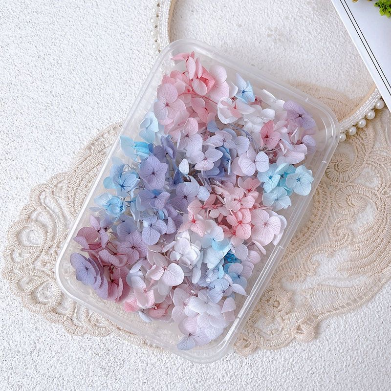 1Box Real Dried Flower Nail De - Dried Flower Bulk recensione e prezzo
