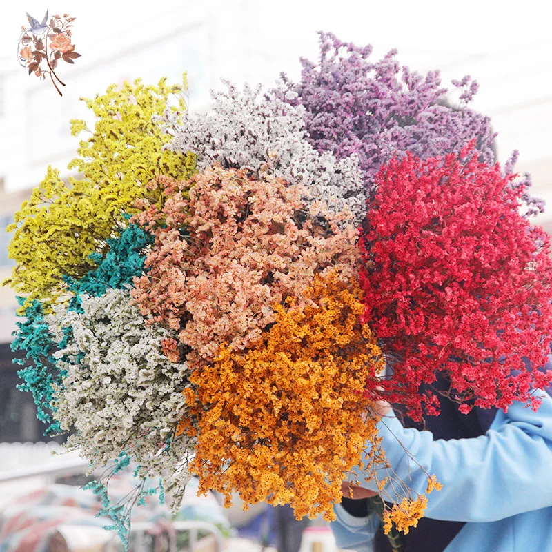 Dried Flowers Natural Crystal  - Dried Flower Bulk recensione e prezzo