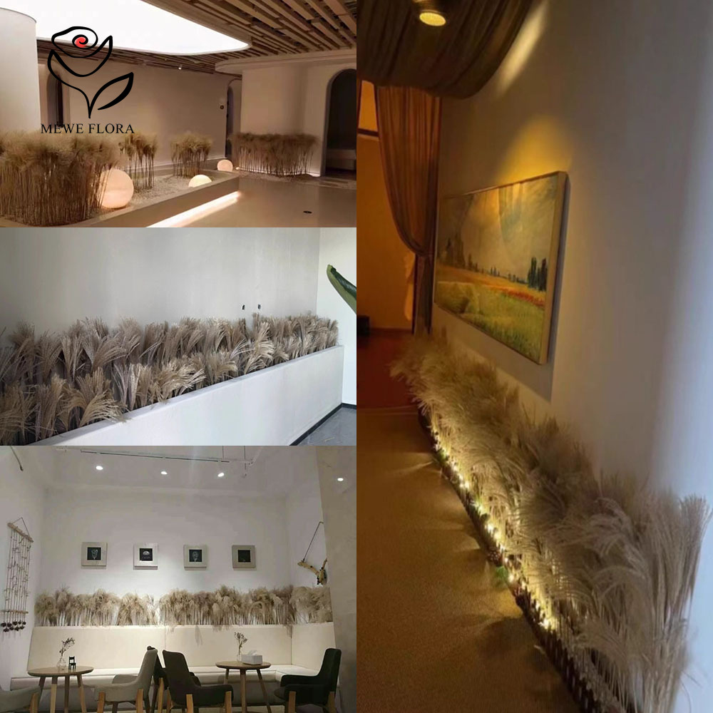 200PCS Natural Dried Fluffy Re - Dried Flower Bulk recensione e prezzo