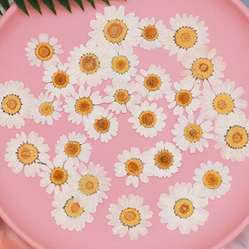 100Pcs Natural White Crystal C - Resin Craft Ideas recensione e prezzo