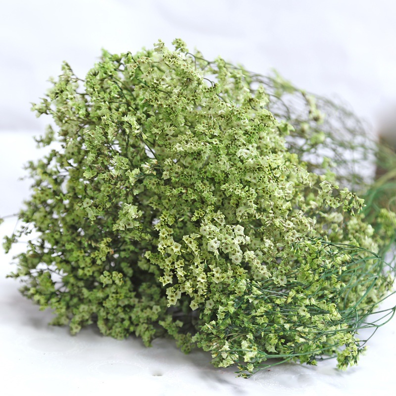 Natural Fresh Dried Preserved  - Dried Flower Bulk recensione e prezzo
