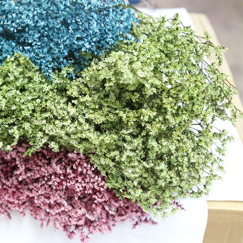 Natural Fresh Dried Preserved  - Dried Flower Bulk recensione e prezzo