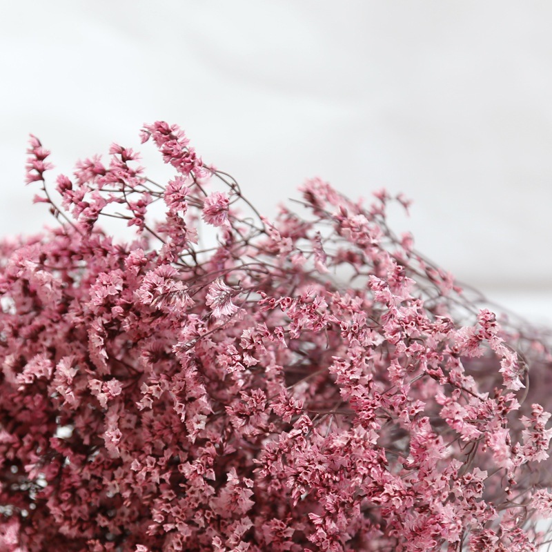 Natural Fresh Dried Preserved  - Dried Flower Bulk recensione e prezzo