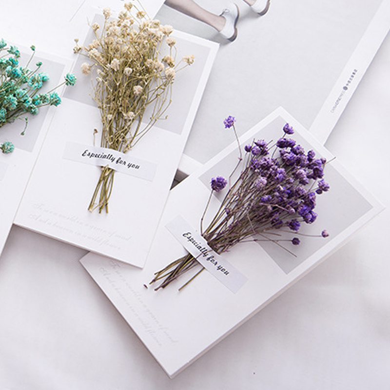 10pcs A Gift Card Wedding Invi - Dried Flower Bulk recensione e prezzo