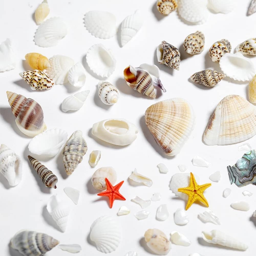 1Box Sea Shells Pearl Resin Fi - Resin Ocean Wave Mold recensione e prezzo