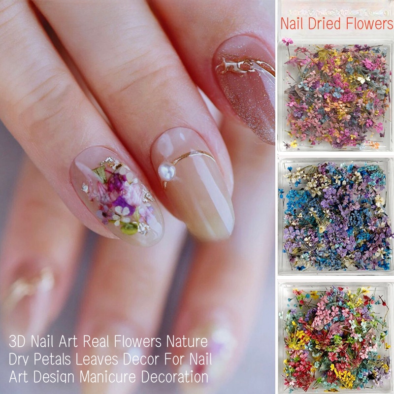 Mixed Small Dried Flowers Nail - Dried Flower Bulk recensione e prezzo