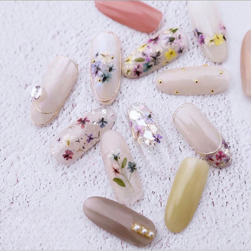 Mixed Small Dried Flowers Nail - Dried Flower Bulk recensione e prezzo
