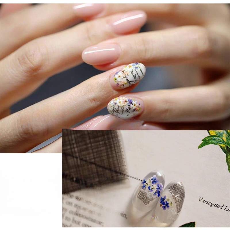 Mixed Small Dried Flowers Nail - Dried Flower Bulk recensione e prezzo